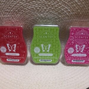Scentsy Wax Bar Set-FRUITY SCENTS